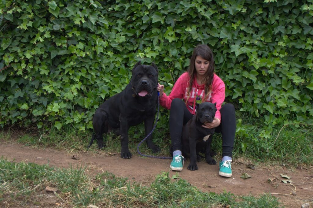 Galería de Faruk de Irema Curtó