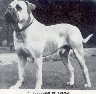 Galería de Bulldozer of Bulmas