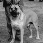 Danini prince of Oldwell