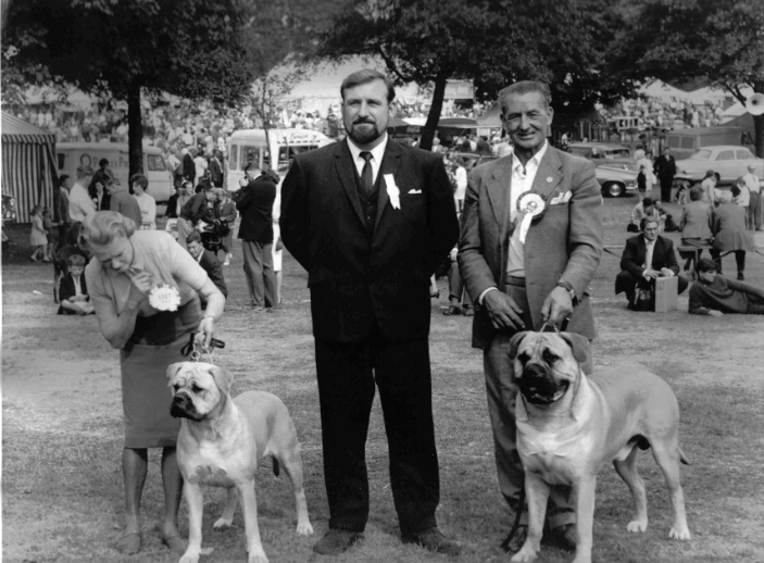 Galería de Danini prince of Oldwell