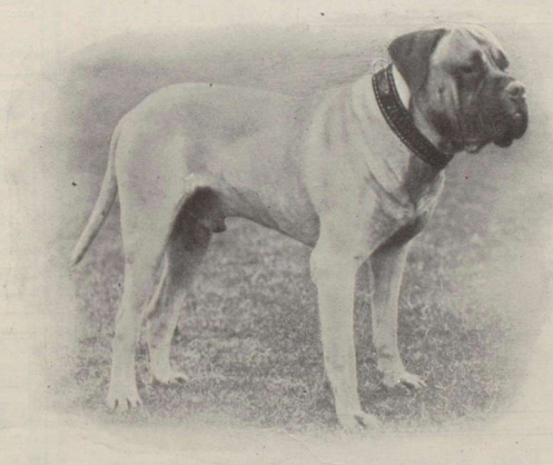 Galería de Brompton Duke