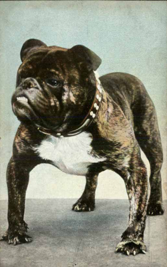 Galería de Rodney Stone