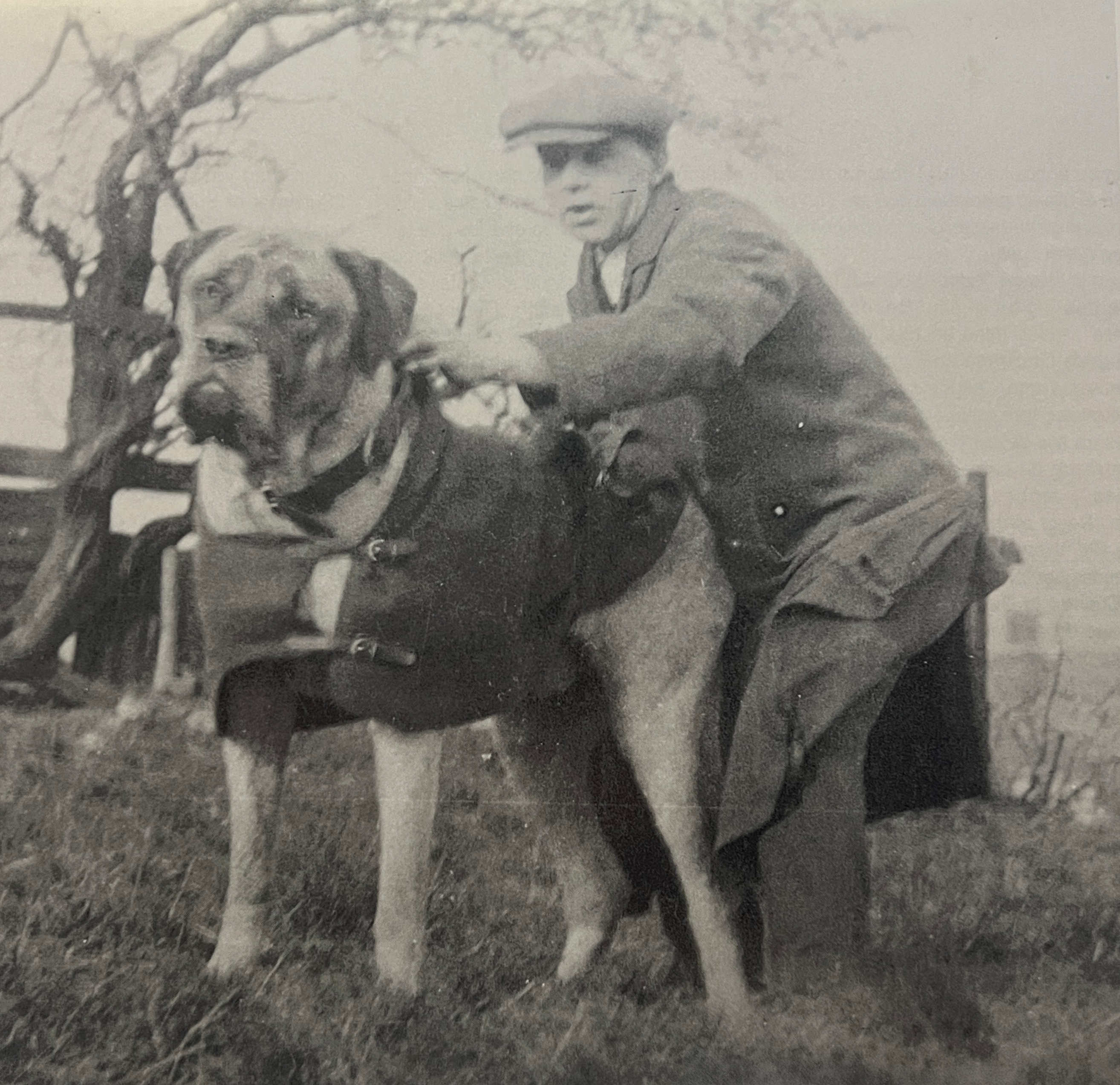 Galería de King Baldur