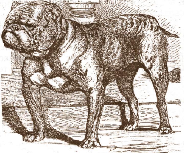 Galería de Pathfinder