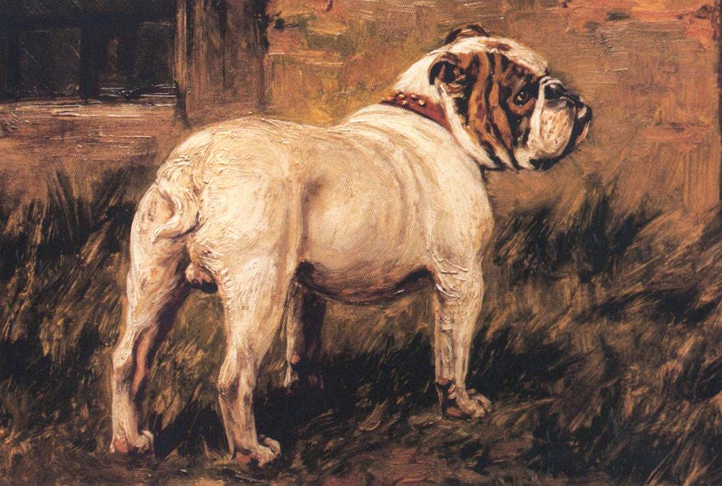 Galería de Rival Stone