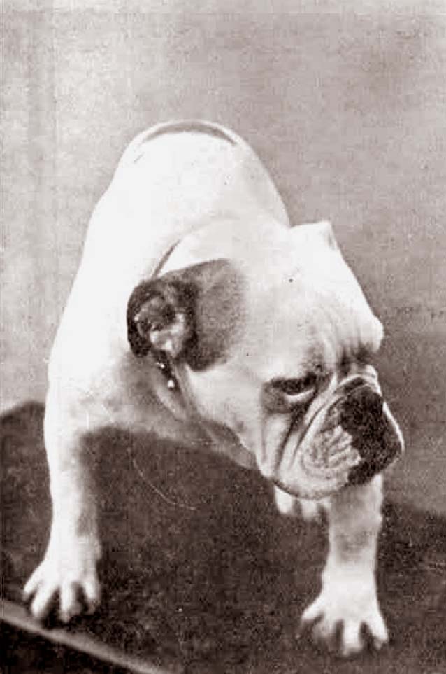 Galería de Dick Swiveller