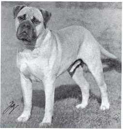 Galería de Loky of Mullorna