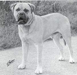 Galería de Loky of Mullorna