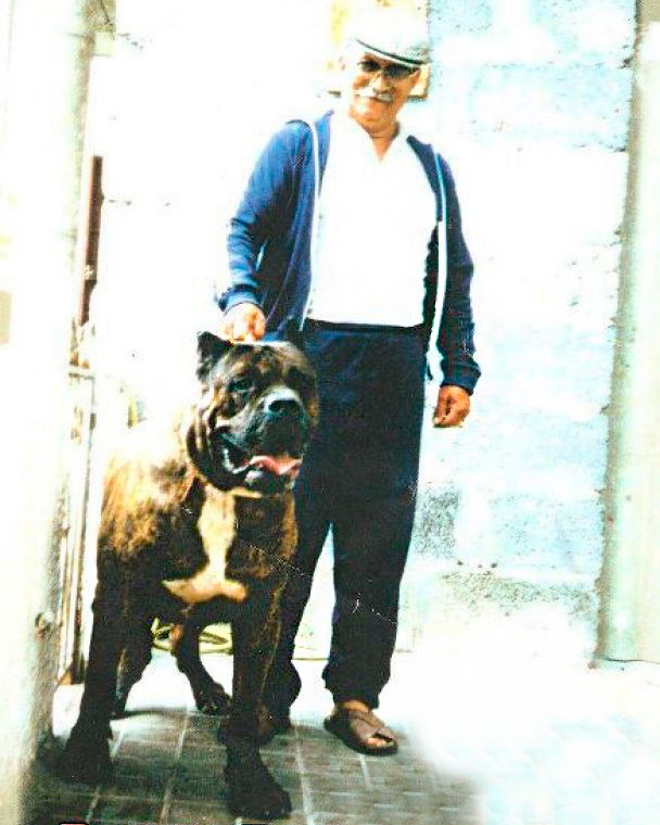 Galería de Barrabás de Miguel Vega