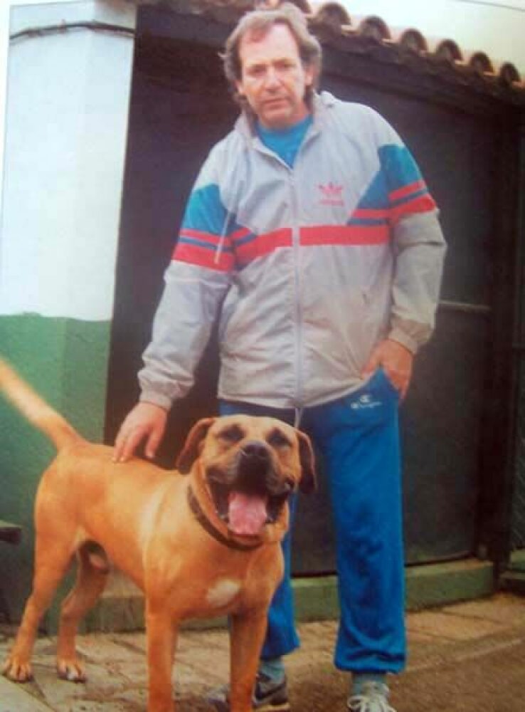 Galería de Sultán de Canchas Ibaken