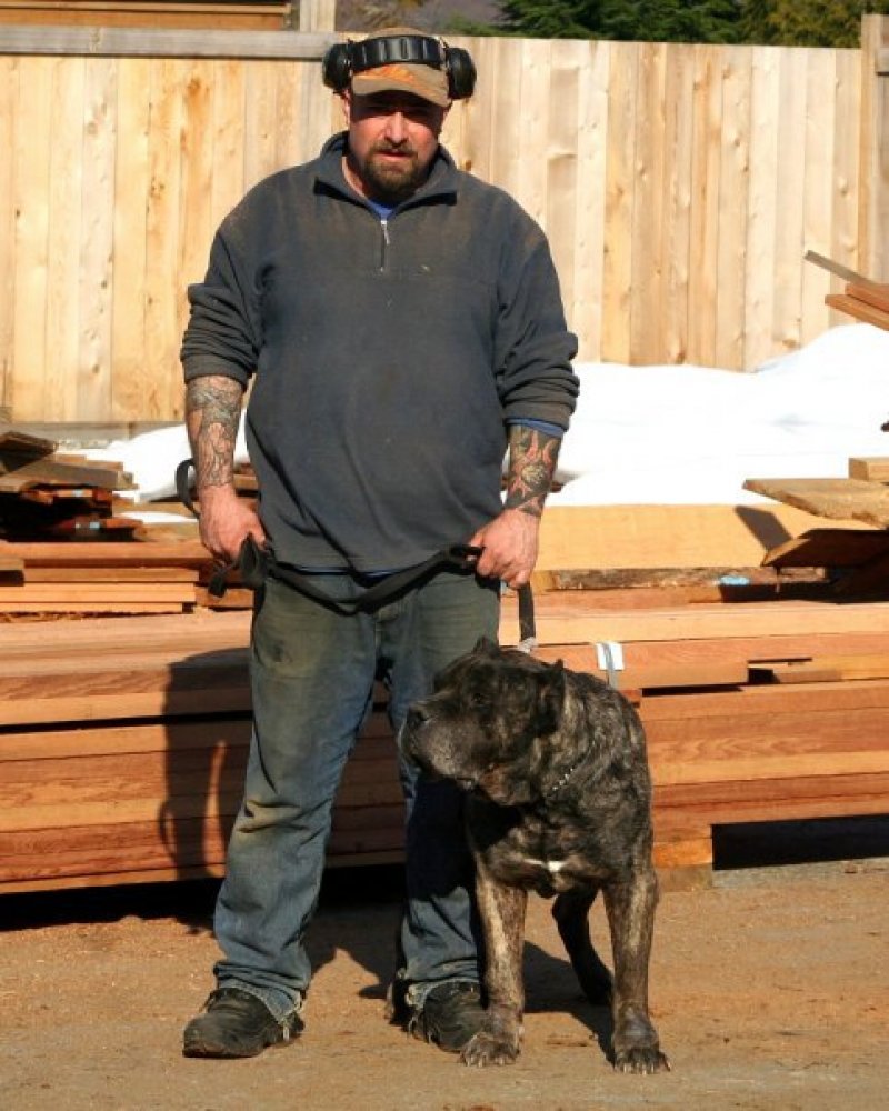 Galería de Bandit de Irema Curtó