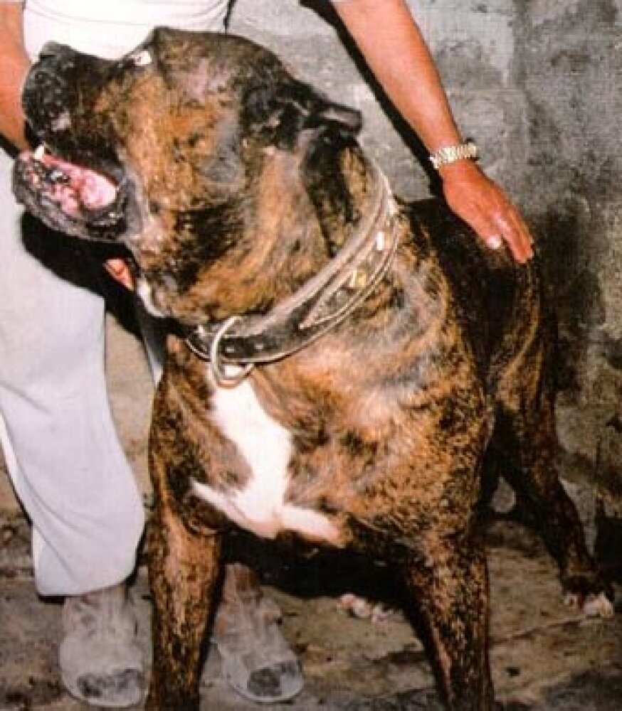 Galería de Barrabás de Miguel Vega