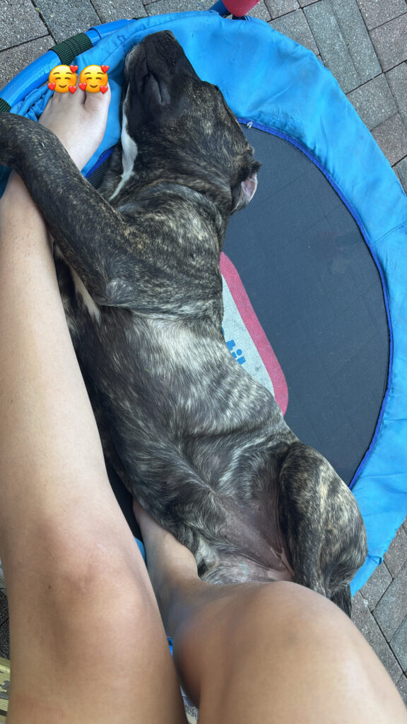 Galería de Safira de Irema Curtó