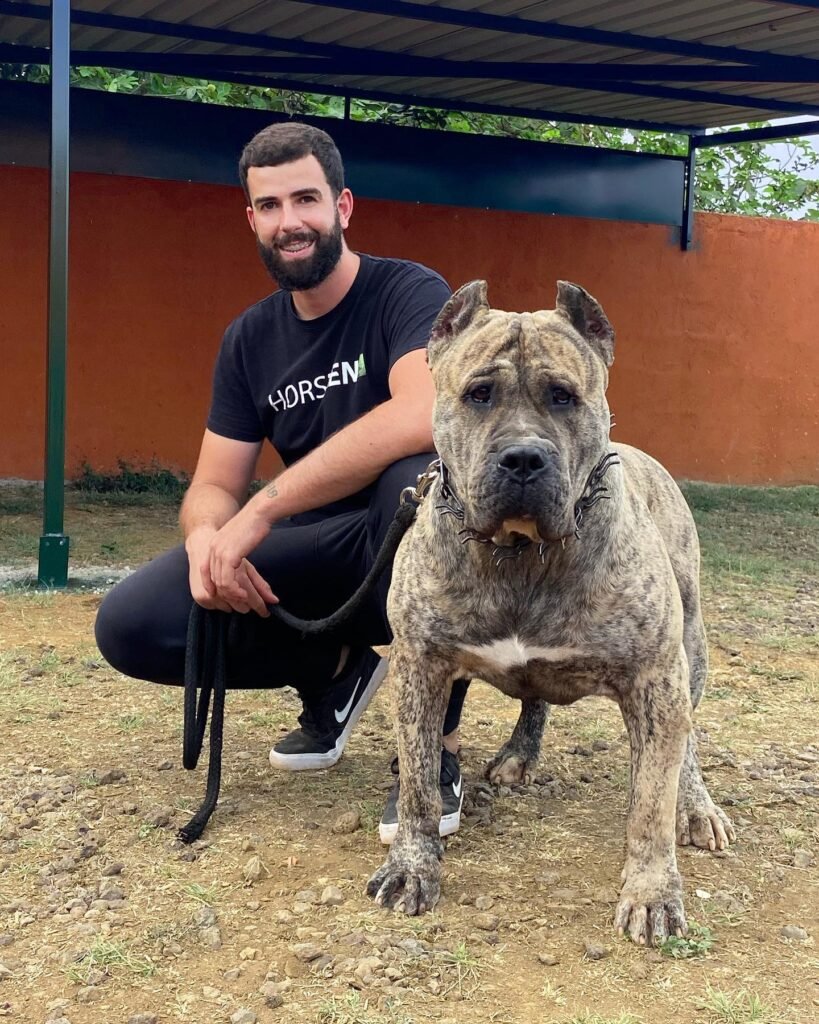 Galería de Gaudí de Irema Curtó