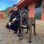 Aníbal de Irema Curtó