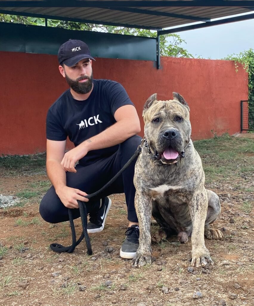 Galería de Gaudí de Irema Curtó