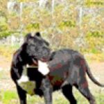 Nana de Irema Curtó