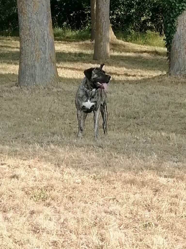 Galería de U’Colega de Irema Curtó