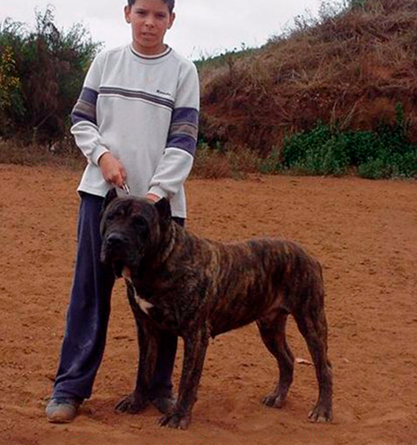 Galería de Néstor de Irema Curtó