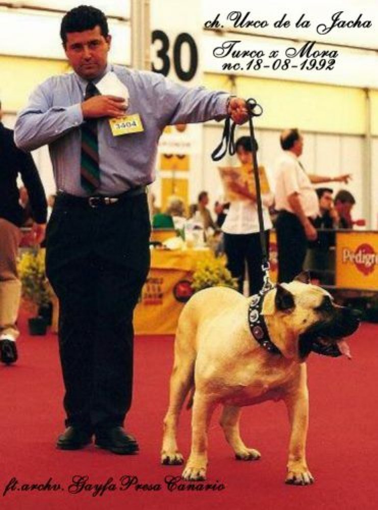 Galería de Urco Coliseum