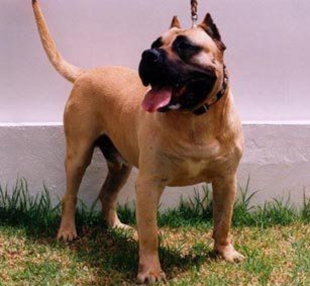 Galería de Urco Coliseum