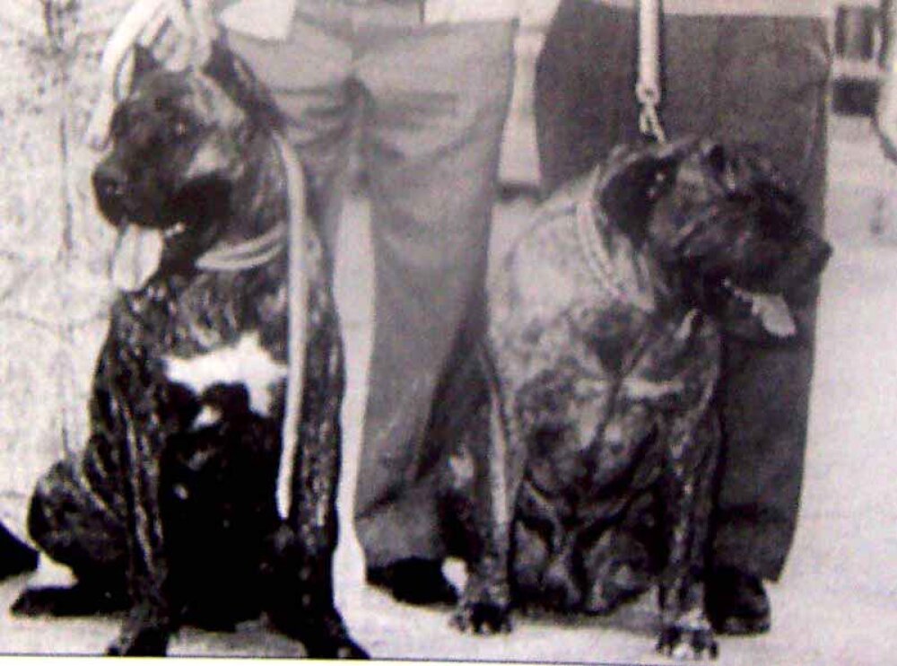 Galería de Marquesa