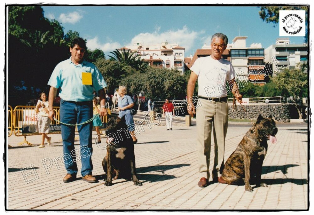 Galería de Marquesa