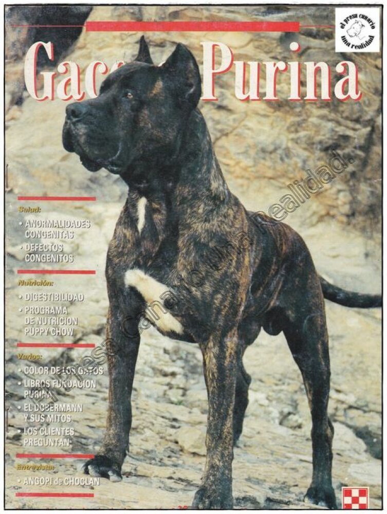 Galería de Rokote del Jardín Canario