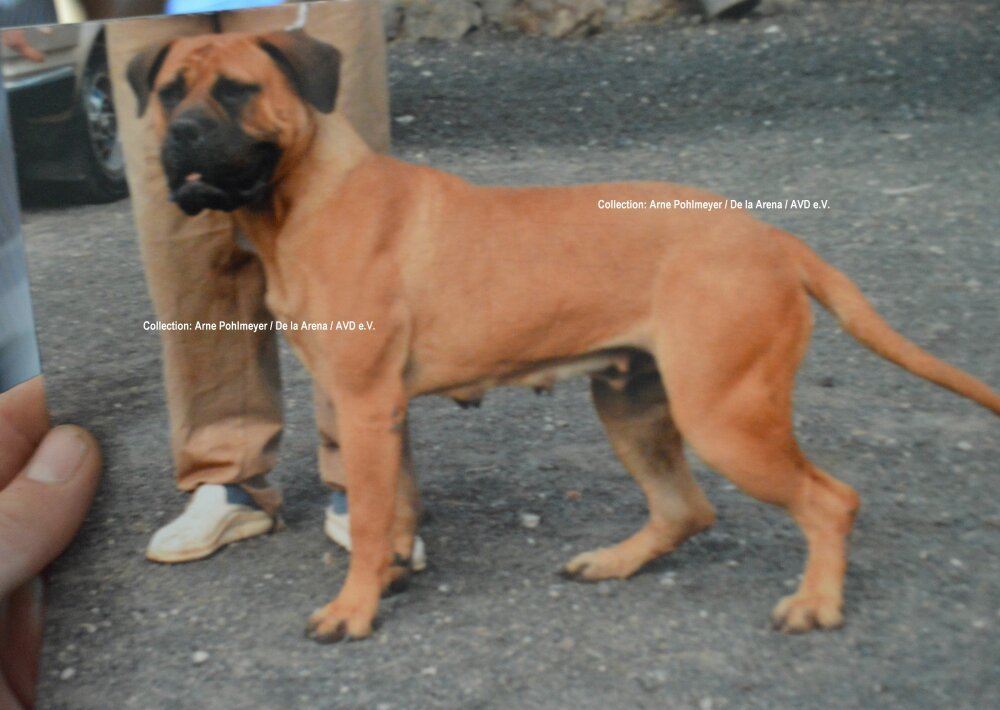 Galería de Chunga de Timanfaya