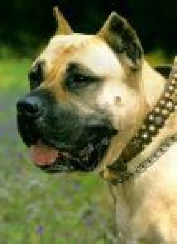 Galería de Urco Coliseum