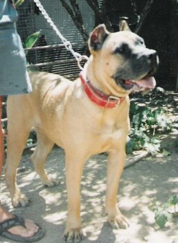 Galería de Guaci II