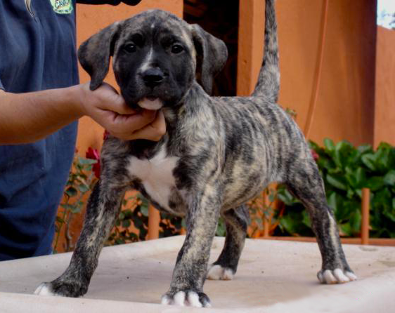 Galería de Xita de Irema Curtó