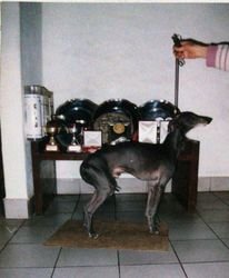 Galería de Newcastle Royal Ballet