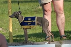 Galería de Zoef-Zoef Van De Bruinbrand