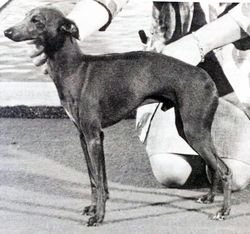 Galería de Isatis Du Manoir Des Ombreuses