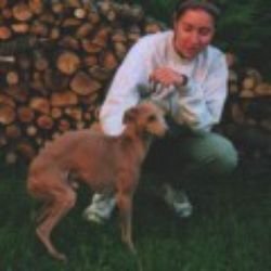 Galería de Fiefoerniek’s Flits