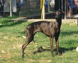 Galería de Mon Héroïne Du Domaine De Chanteloup