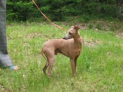 Galería de Tootsie De La Roche Hue