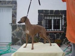 Galería de Herminia De Escriba Divino