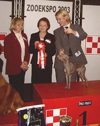 Galería de Dogcastle’s Unforgettable