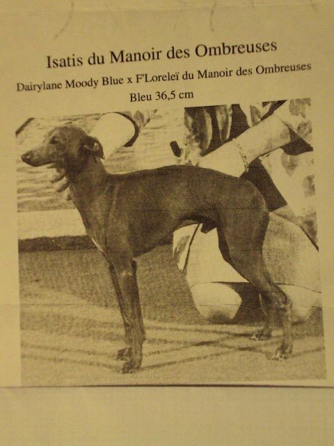 Galería de Isatis Du Manoir Des Ombreuses