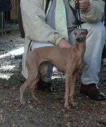 Galería de Anthinea Du Domaine De Chanteloup