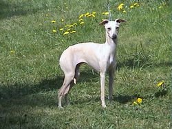 Galería de Passion D’Amour Du Domaine De Chanteloup