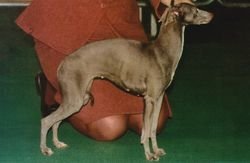 Galería de Sobers Lucille