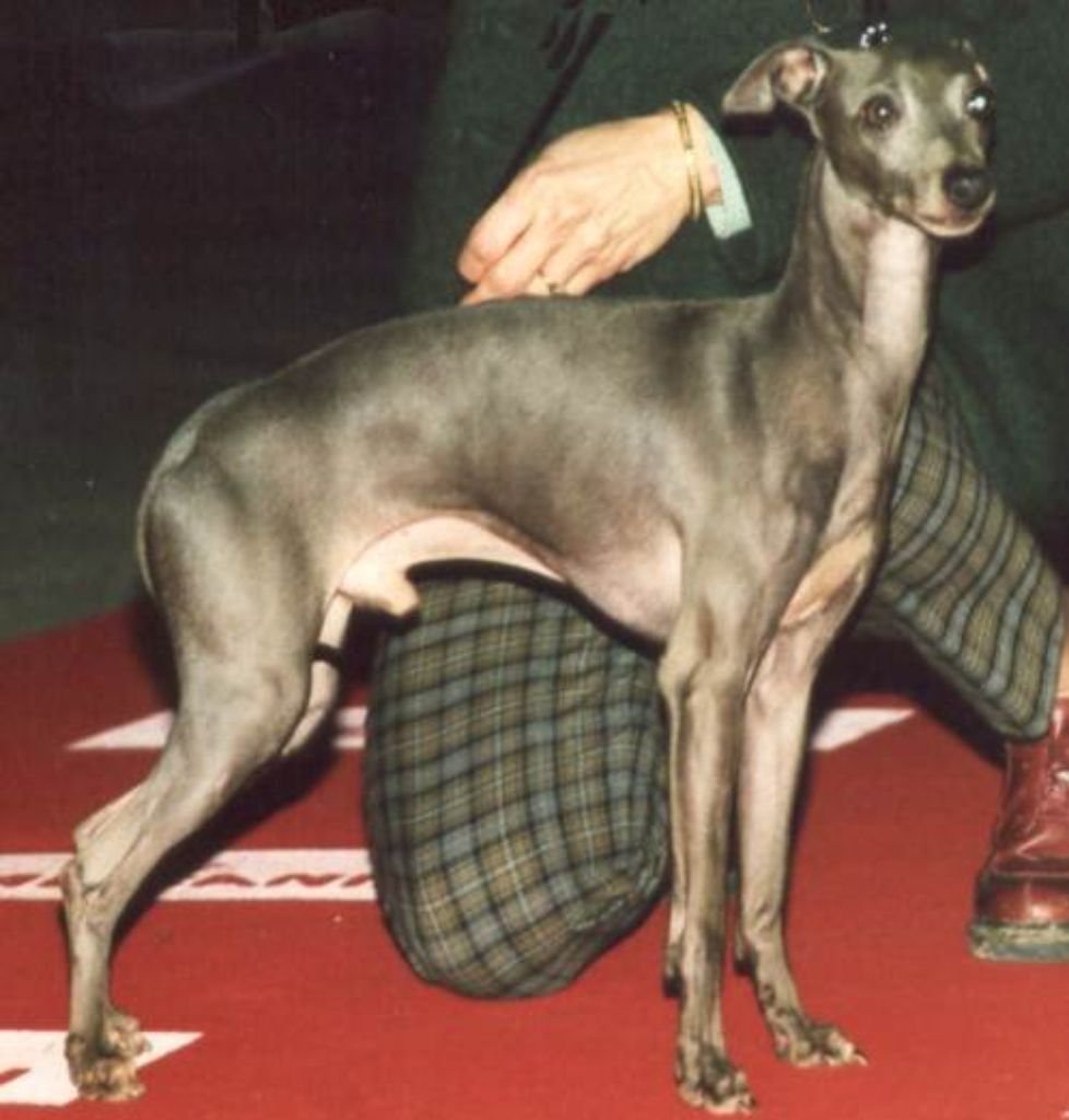 Galería de Oscar Du Domaine De Chanteloup