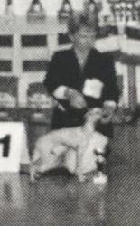 Galería de Noémie Du Domaine De Chanteloup