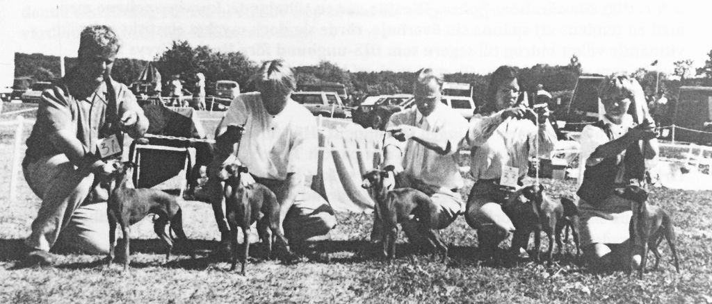 Galería de Canta Libre Quite Rightly Of Bonne