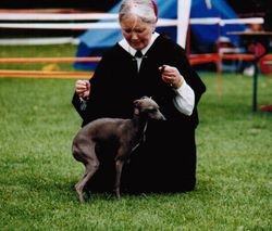 Galería de Hamlet Vom Sausewind