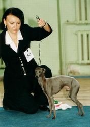 Galería de Pizzigotto Vom Pellerschloss