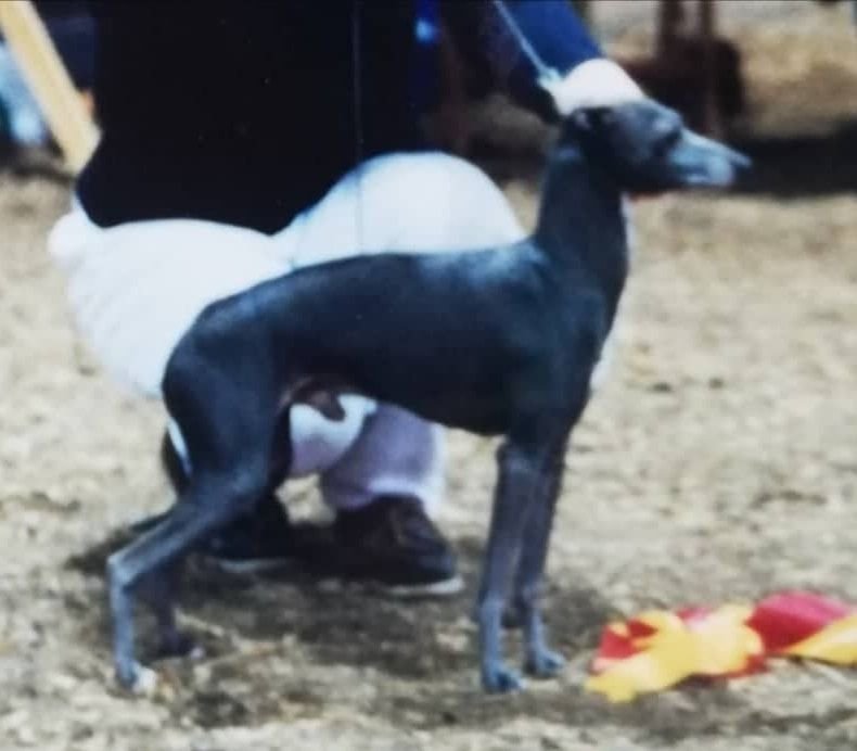 Galería de Canta Libre Quite Rightly Of Bonne